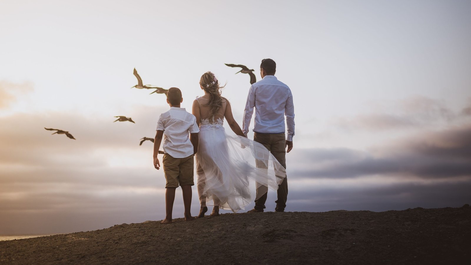 A family stands on a hilltop at sunset, watching birds fly by in a serene moment.